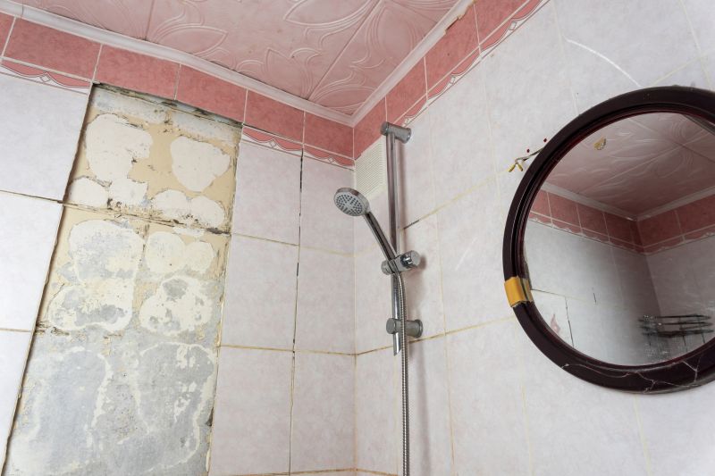 Shower Repair